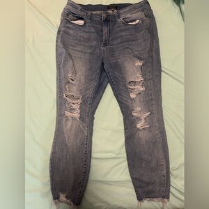 Judy Blue Skinny Fit Jeans 18W